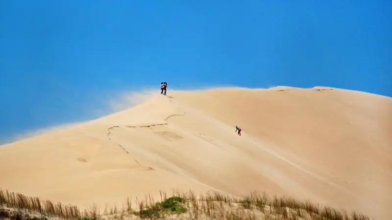 Однодневная поездка в Кабо-Полонио (Cabo Polonio) на внедорожнике 4x4